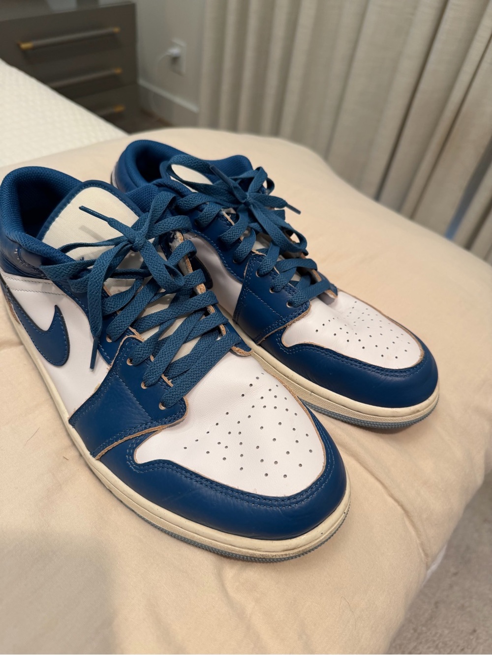 Air Jordan 1 industrial Blue Men’s Low-Top Sneakers in White and Blue